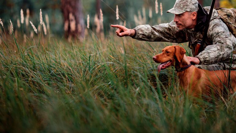 Kun h&auml;m&auml;r&auml;n&auml;k&ouml; on kunnossa, jahti voi jatkua iltamy&ouml;h&auml;&auml;n