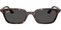 Ray-Ban ZAYA 4456 Ray-Ban ZAYA 4456
