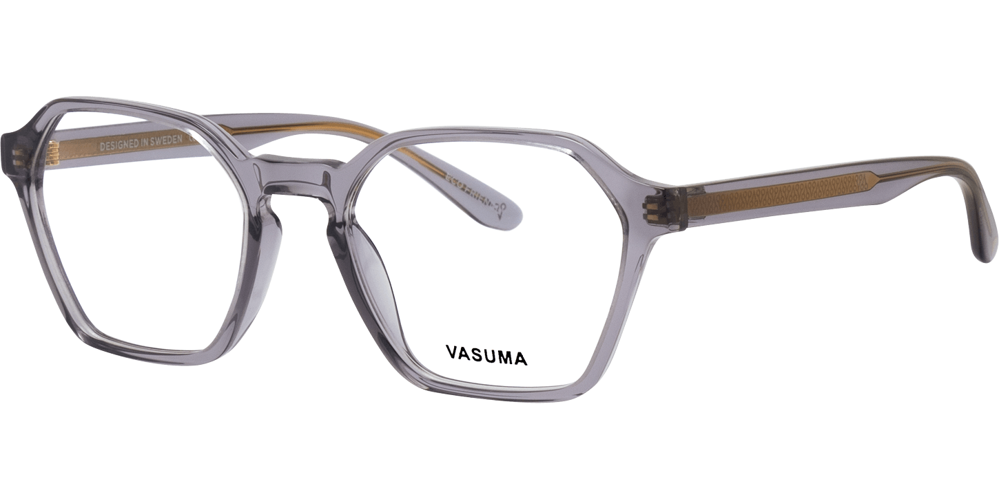 Vasuma Piscator image number null
