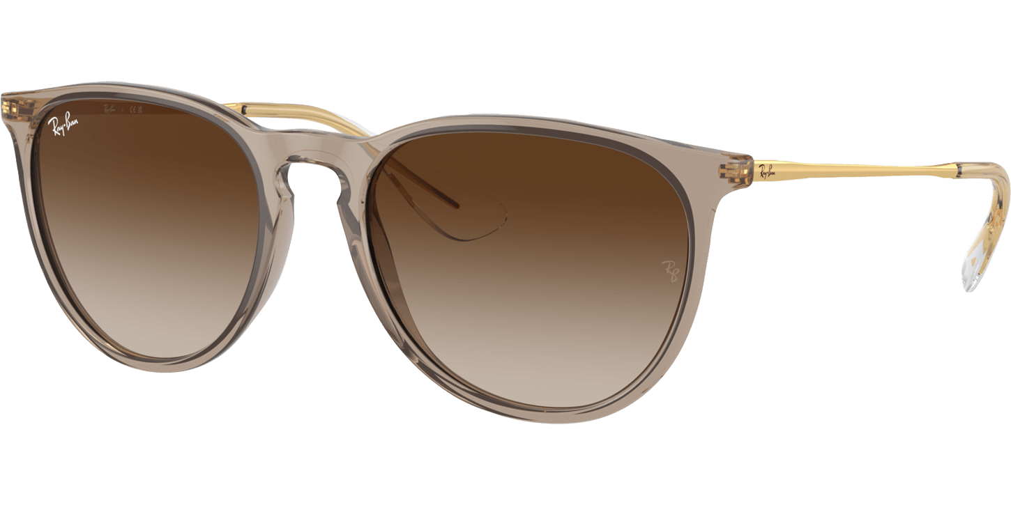 Ray-Ban ERIKA 4171 674413 image number null