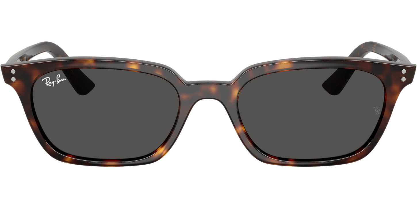 Ray-Ban ZAYA 4456 image number null